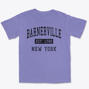 Barnerville New York Classic Established Premium Heavyweight T-shirt