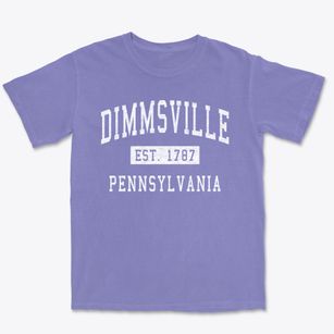 Dimmsville Pennsylvania Classic Established Premium Heavyweight T-shirt