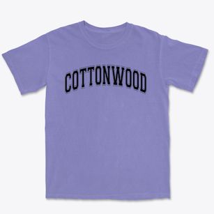 Cottonwood Elementary School Varsity Arch Premium Heavyweight T-shirt
