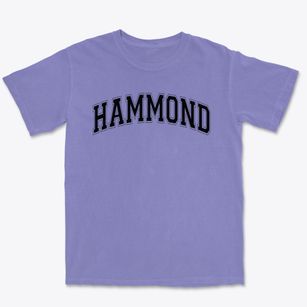 Hammond Elementary School Varsity Arch Premium Heavyweight T-shirt