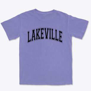 Lakeville Elementary School Varsity Arch Premium Heavyweight T-shirt
