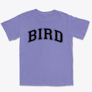 Bird Elementary School Varsity Arch Premium Heavyweight T-shirt