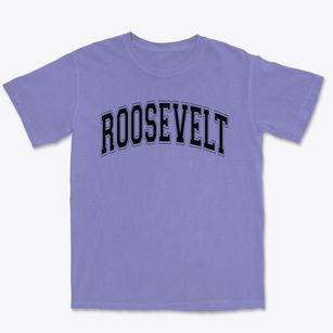 Roosevelt Elementary School Varsity Arch Premium Heavyweight T-shirt