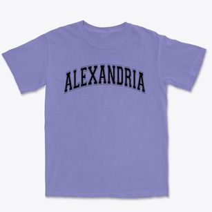 Alexandria Middle School Varsity Arch Premium Heavyweight T-shirt