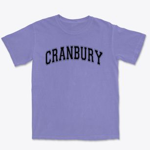 Cranbury Elementary School Varsity Arch Premium Heavyweight T-shirt