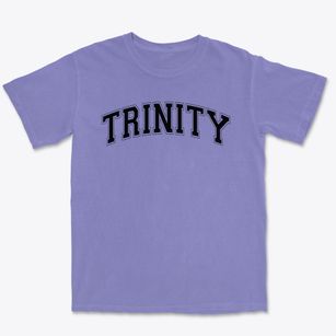 Trinity Lutheran School Varsity Arch Premium Heavyweight T-shirt