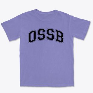 Ohio State School For The Blind Varsity Arch Premium Heavyweight T-shirt