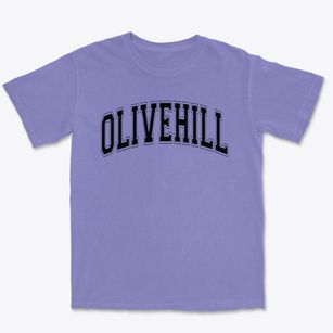 Olivehill Elementary School Varsity Arch Premium Heavyweight T-shirt