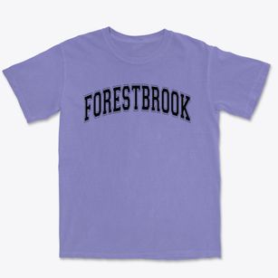 Forestbrook Elementary School Varsity Arch Premium Heavyweight T-shirt
