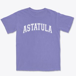 Astatula Elementary School Varsity Arch Premium Heavyweight T-shirt