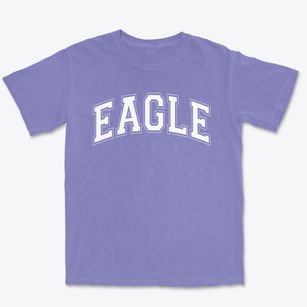 Eagle Elementary School Varsity Arch Premium Heavyweight T-shirt