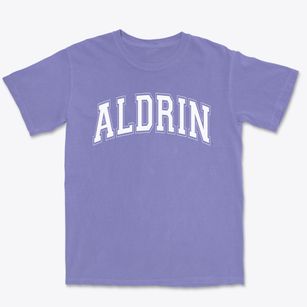 Aldrin Junior High School Varsity Arch Premium Heavyweight T-shirt