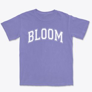 Bloom Elementary School Varsity Arch Premium Heavyweight T-shirt