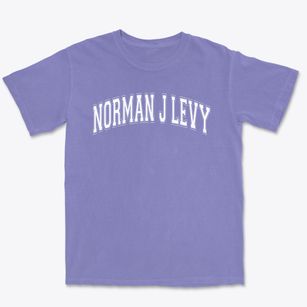 Norman J Levy Lakeside Elementary School Varsity Arch Premium Heavyweight T-shirt