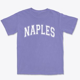 Naples Elementary School Varsity Arch Premium Heavyweight T-shirt