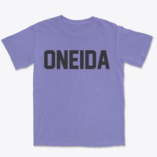 Oneida Illinois Classic Block Premium Heavyweight T-shirt