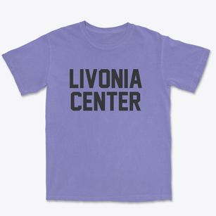 Livonia Center New York Classic Block Premium Heavyweight T-shirt