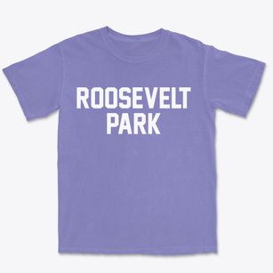 Roosevelt Park Michigan Classic Block Premium Heavyweight T-shirt