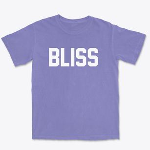 Bliss New York Classic Block Premium Heavyweight T-shirt