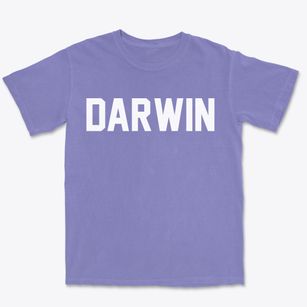 Darwin Minnesota Classic Block Premium Heavyweight T-shirt