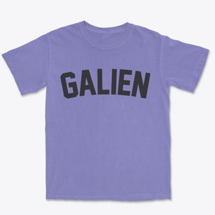 Galien Michigan Classic Curve Premium Heavyweight T-shirt
