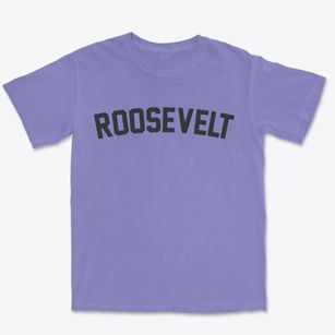 Roosevelt New York Classic Curve Premium Heavyweight T-shirt