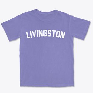Livingston Alabama Classic Curve Premium Heavyweight T-shirt