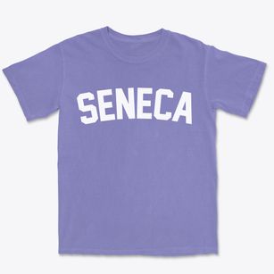 Seneca Illinois Classic Curve Premium Heavyweight T-shirt