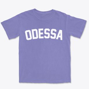 Odessa Delaware Classic Curve Premium Heavyweight T-shirt
