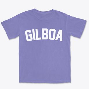 Gilboa Ohio Classic Curve Premium Heavyweight T-shirt