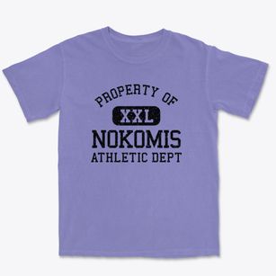 Nokomis Florida Athletic Dept Premium Heavyweight T-shirt
