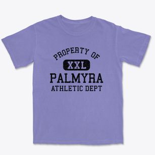 Palmyra Indiana Athletic Dept Premium Heavyweight T-shirt