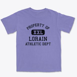 Lorain Wisconsin Athletic Dept Premium Heavyweight T-shirt