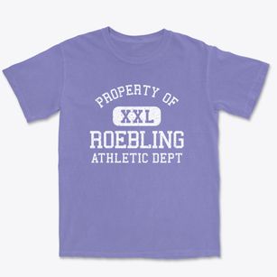 Roebling New Jersey Athletic Dept Premium Heavyweight T-shirt