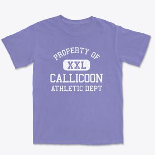 Callicoon New York Athletic Dept Premium Heavyweight T-shirt