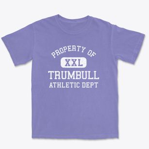 Trumbull Connecticut Athletic Dept Premium Heavyweight T-shirt