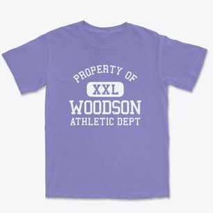 Woodson Illinois Athletic Dept Premium Heavyweight T-shirt