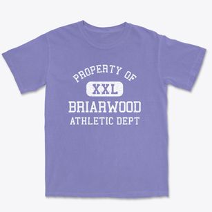 Briarwood Kentucky Athletic Dept Premium Heavyweight T-shirt