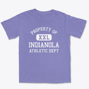 Indianola Illinois Athletic Dept Premium Heavyweight T-shirt