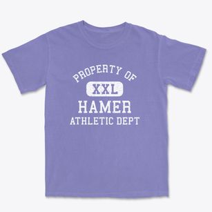 Hamer Idaho Athletic Dept Premium Heavyweight T-shirt