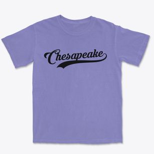 Chesapeake Virginia Vintage Team Premium Heavyweight T-shirt