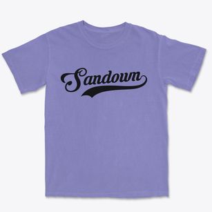Sandown New Hampshire Vintage Team Premium Heavyweight T-shirt