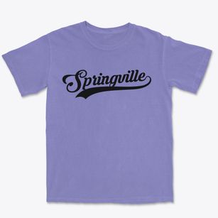 Springville New York Vintage Team Premium Heavyweight T-shirt