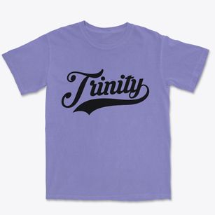 Trinity Texas Vintage Team Premium Heavyweight T-shirt