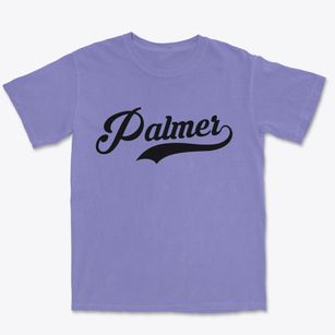 Palmer Illinois Vintage Team Premium Heavyweight T-shirt