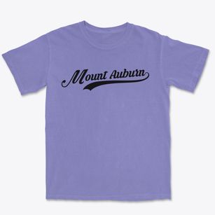 Mount Auburn Iowa Vintage Team Premium Heavyweight T-shirt