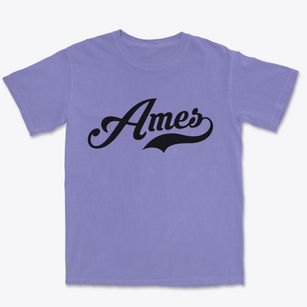Ames New York Vintage Team Premium Heavyweight T-shirt
