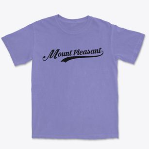 Mount Pleasant South Carolina Vintage Team Premium Heavyweight T-shirt