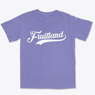 Fruitland North Carolina Vintage Team Premium Heavyweight T-shirt