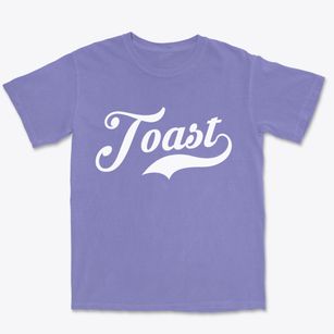 Toast North Carolina Vintage Team Premium Heavyweight T-shirt